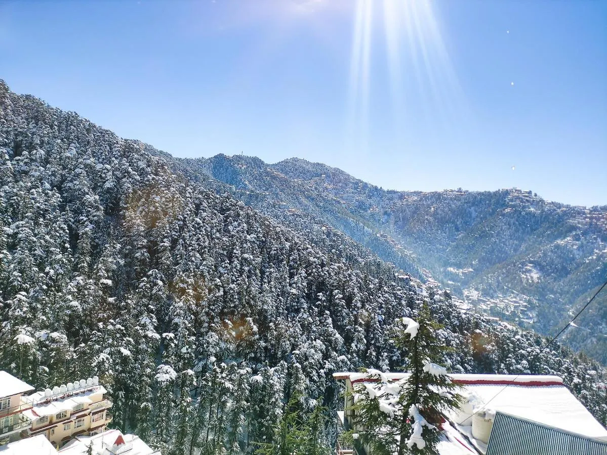 Frosty Woods Homestay Shimla
