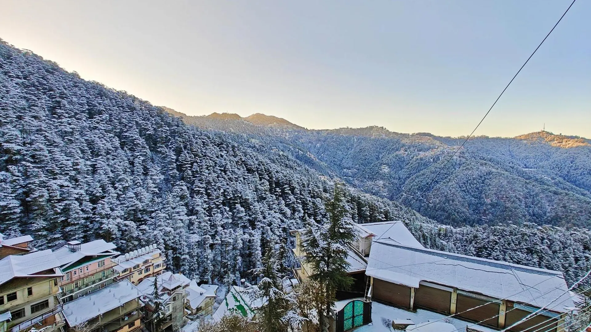 Frosty Woods Homestay Shimla